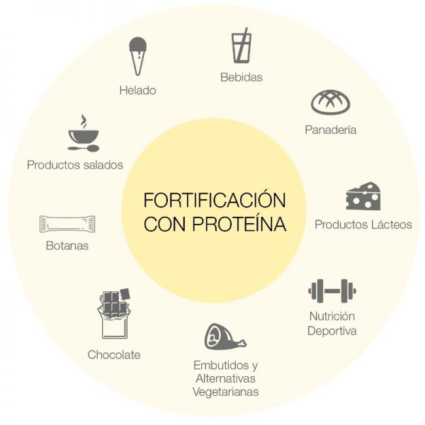 Alimentos-fortificados-con-proteina-big Alimentos-fortificados-con-proteina-big